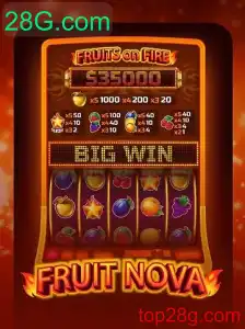 Descubra o Fascinante Mundo de FruitNova: Um Guia Completo